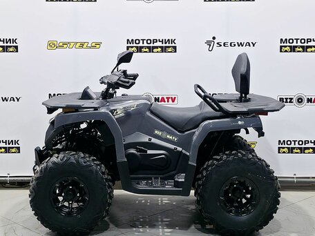 2026 Bizon YK250 LUX EFI, серый, 255000 рублей, вид 2