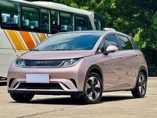 2024 BYD Dolphin 44.9 kWh I, розовый, 1250000 рублей, вид 1