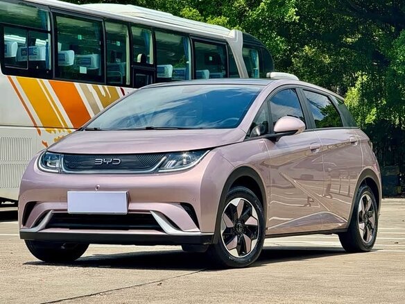 2024 BYD Dolphin 44.9 kWh I, розовый, 1250000 рублей