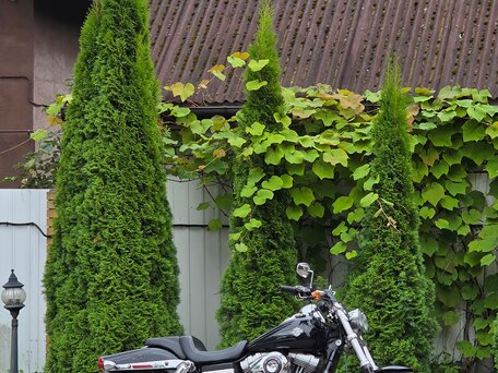 2013 Harley-Davidson Fat Bob, чёрный, 850000 рублей, вид 3