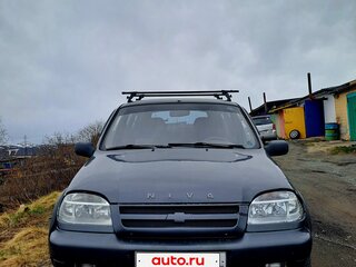 2003 Chevrolet Niva I, серый, 200000 рублей, вид 2