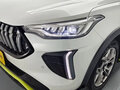 2022 Haval Chitu, белый, 1115000 рублей - вид 10