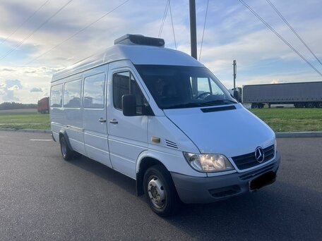 2002 Mercedes-Benz Sprinter, белый, 750000 рублей, вид 1