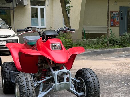 2005 Honda TRX 250, красный, 220000 рублей, вид 3