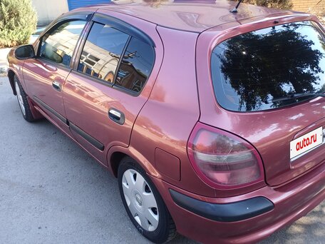 2000 Nissan Almera II (N16), пурпурный, вид 3