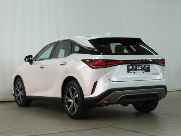 2026 Lexus RX 300 V, белый - вид 6