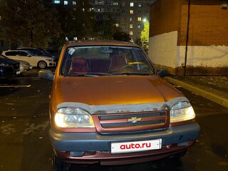 2008 Chevrolet Niva I, коричневый, 190000 рублей, вид 3