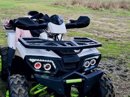 2020 Motoland Wild Track 200, белый, 175000 рублей, вид 2