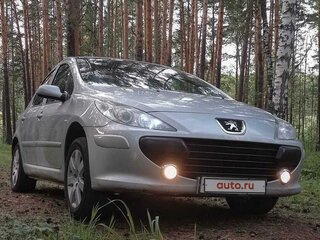 2007 Peugeot 307 I Рестайлинг, серый, 450000 рублей, вид 4