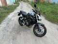2017 Honda CB 650F, серый, 620000 рублей