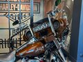 2019 Harley-Davidson CVO Limited, коричневый, 3850000 рублей - вид 2