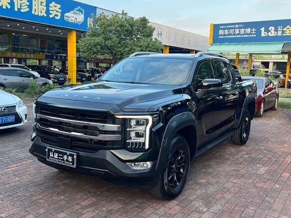 2024 Foton Mars 7, чёрный, 2850084 рублей