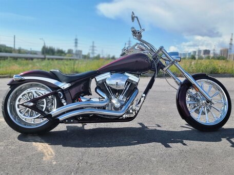 2006 Big Dog Motorcycles Mastiff, пурпурный, 1650000 рублей, вид 1
