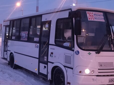 2017 ПАЗ 3204, белый, 1500000 рублей, вид 2
