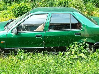 2000 Renault 19 Europa II, зелёный, 90000 рублей, вид 4