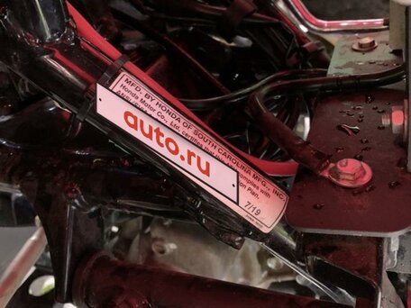 2019 Honda TRX 680 (Rincon), красный, 1430000 рублей, вид 5