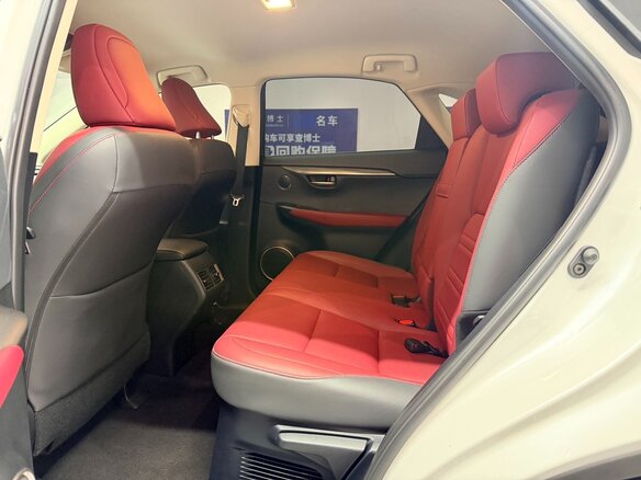 2020 Lexus NX 200 I Рестайлинг, белый, 3115007 рублей - вид 17
