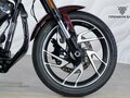 2018 Harley-Davidson Sport Glide, коричневый, 1377000 рублей - вид 10