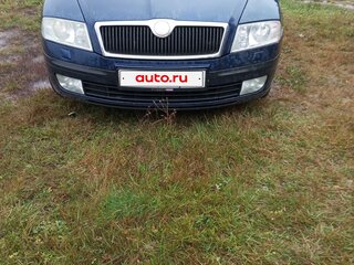 2006 Skoda Octavia II (A5), синий, 300000 рублей, вид 1