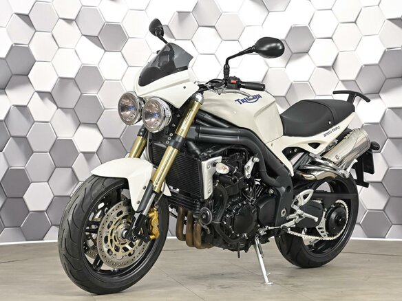 2008 Triumph Speed Triple, серый, 469000 рублей - вид 1
