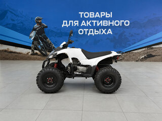 2026 Другие Мотовездеходы (другие), белый, 164600 рублей, вид 2