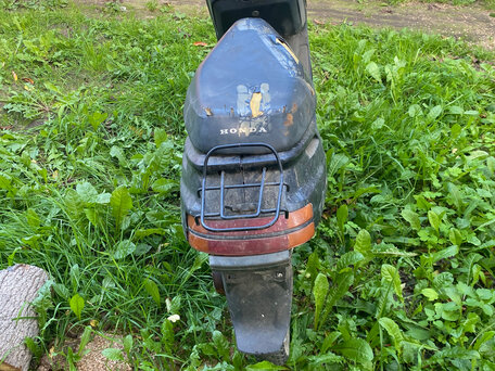 1997 Honda Dio, красный, 15000 рублей, вид 3