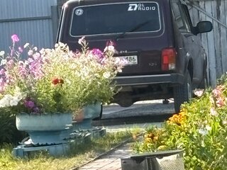 2013 Lada (ВАЗ) 2121 (4x4) I Рестайлинг, пурпурный, 520000 рублей, вид 4