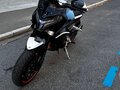 2024 CFMoto 800NK, белый - вид 1