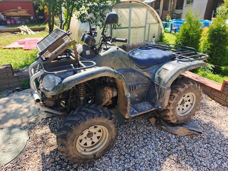 2008 Grizzly Aerox Mini, зелёный, 350000 рублей, вид 2