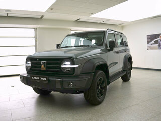 2026 Tank 300 I, серый, 4799000 рублей, вид 3
