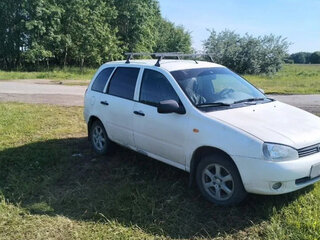 2012 Lada (ВАЗ) Kalina I, белый, 195000 рублей, вид 2