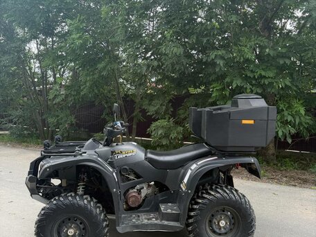 2018 Stels ATV-500YS Leopard, зелёный, 520000 рублей, вид 3