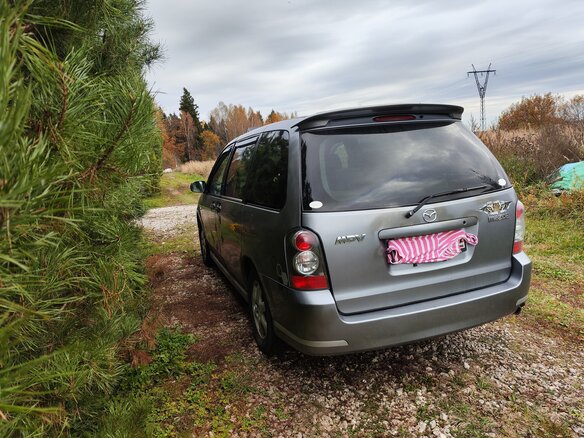 2004 Mazda MPV II (LW) Рестайлинг, серый, 320000 рублей - вид 5