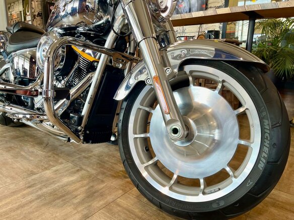 2025 Harley-Davidson Fat Boy, серый, 4800000 рублей - вид 15