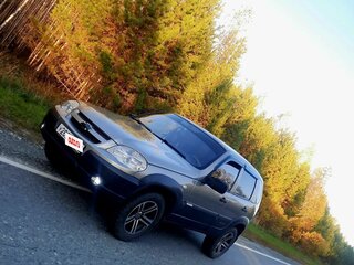 2012 Chevrolet Niva I Рестайлинг, серый, 425000 рублей, вид 5