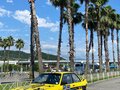 1991 BMW 3 серии 318i II (E30), зелёный, 2200000 рублей - вид 2