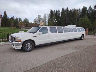 2003 Ford Excursion, белый, 550000 рублей, вид 1