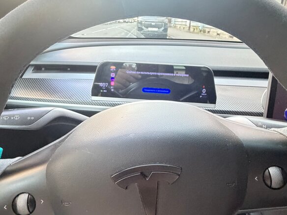 2021 Tesla Model 3 Performance I, синий - вид 6