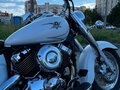 2008 Yamaha XVS650 Drag Star, белый, 550000 рублей - вид 5
