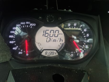 2009 Ski-Doo Skandic, жёлтый, 720000 рублей, вид 4