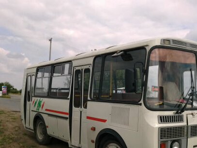 2005 ПАЗ 3205, бежевый, 350000 рублей, вид 2