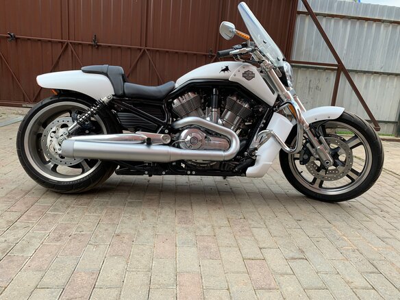 2014 Harley-Davidson V-Rod Muscle, белый