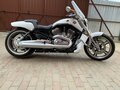 2014 Harley-Davidson V-Rod Muscle, белый