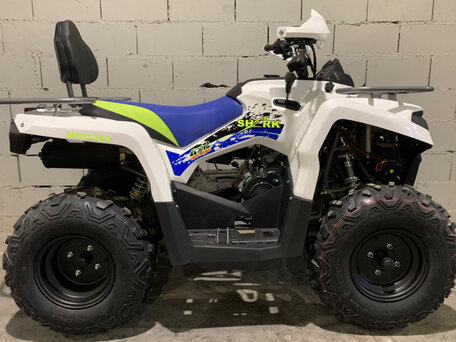 2021 Motoland ATV 200 Shark, белый, 236800 рублей, вид 1