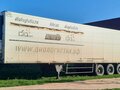 2011 Schmitz Cargobull SKO, белый, 3450000 рублей - вид 1