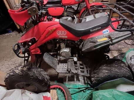 2017 ABM Scorpion 110, красный, 45000 рублей, вид 2