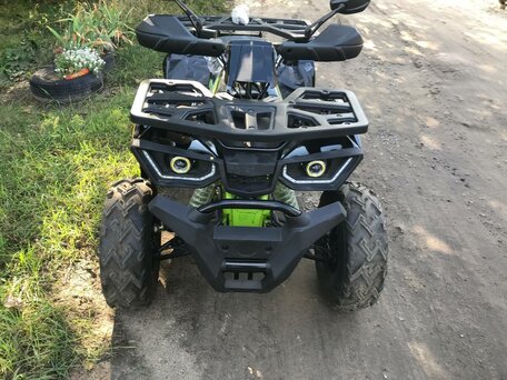 2022 Motoland Wild Track 200, чёрный, 80000 рублей, вид 3