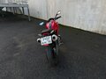 2008 Ducati Monster 696, красный, 350000 рублей - вид 4