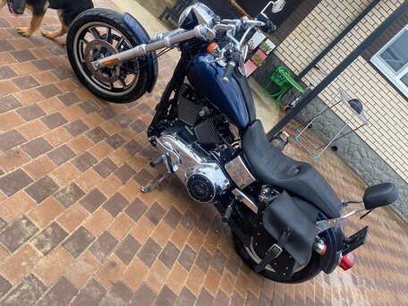 2014 Harley-Davidson Dyna Low Rider, синий, 850000 рублей, вид 2