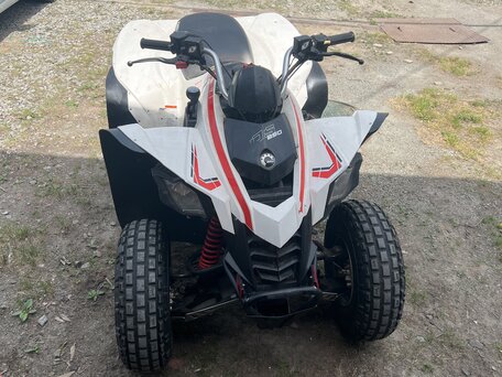 2008 BRP Can-Am DS 250, белый, 400000 рублей, вид 1